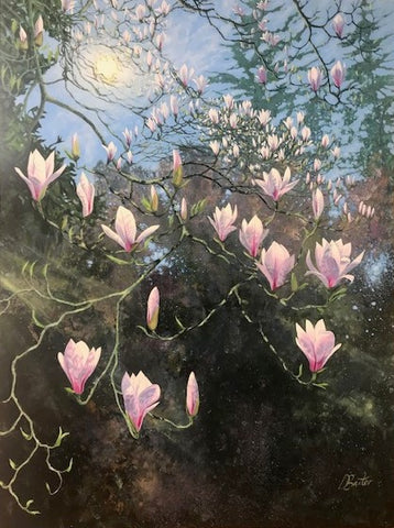 Magnolia, Welsh National Park