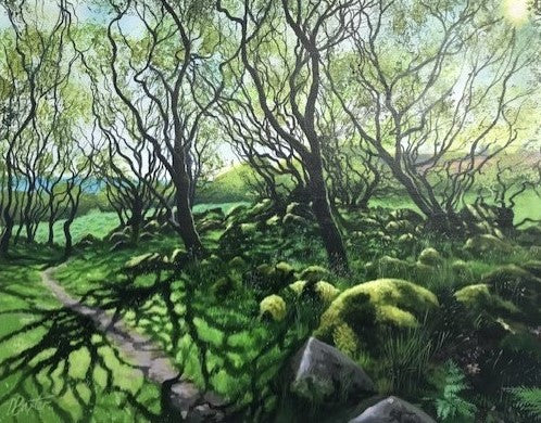 Ancient Welsh Woodland