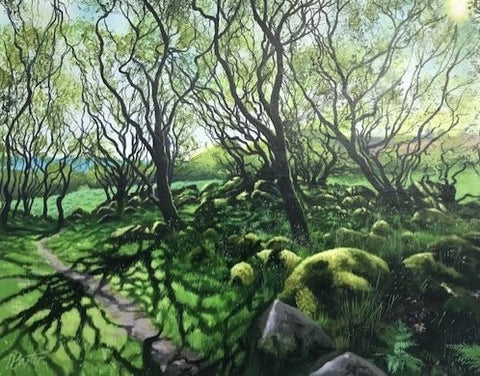 Ancient Welsh Woodland