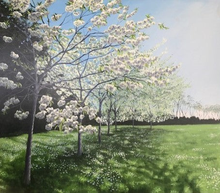 White Spring Blossom