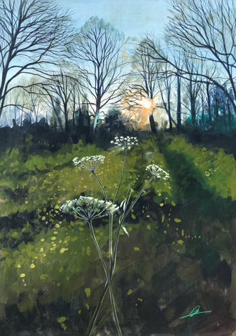 Into the Woods from the Fields