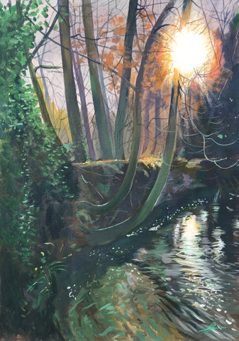 Into the Woods River Stream