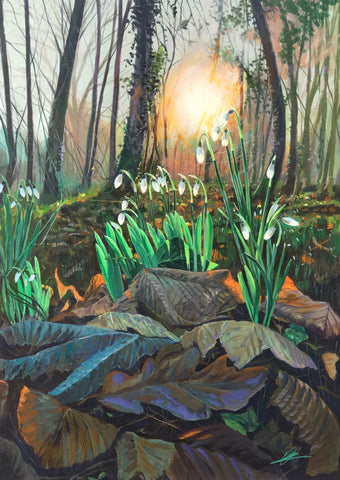 Into the Woods Snowdrops