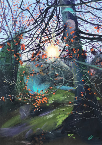 Into the Woods Sunkissed