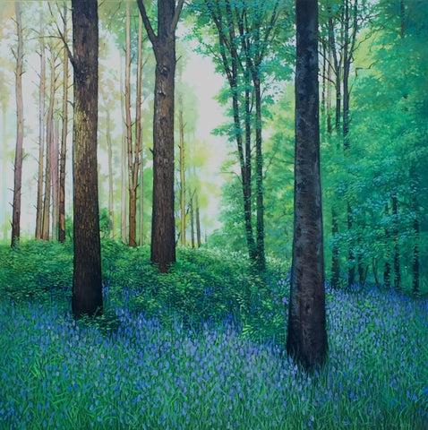 Bluebell Woods
