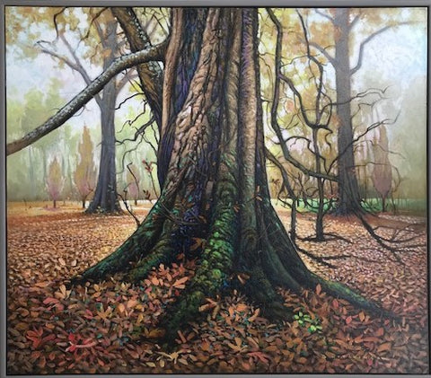 Mature Chestnut Audley End