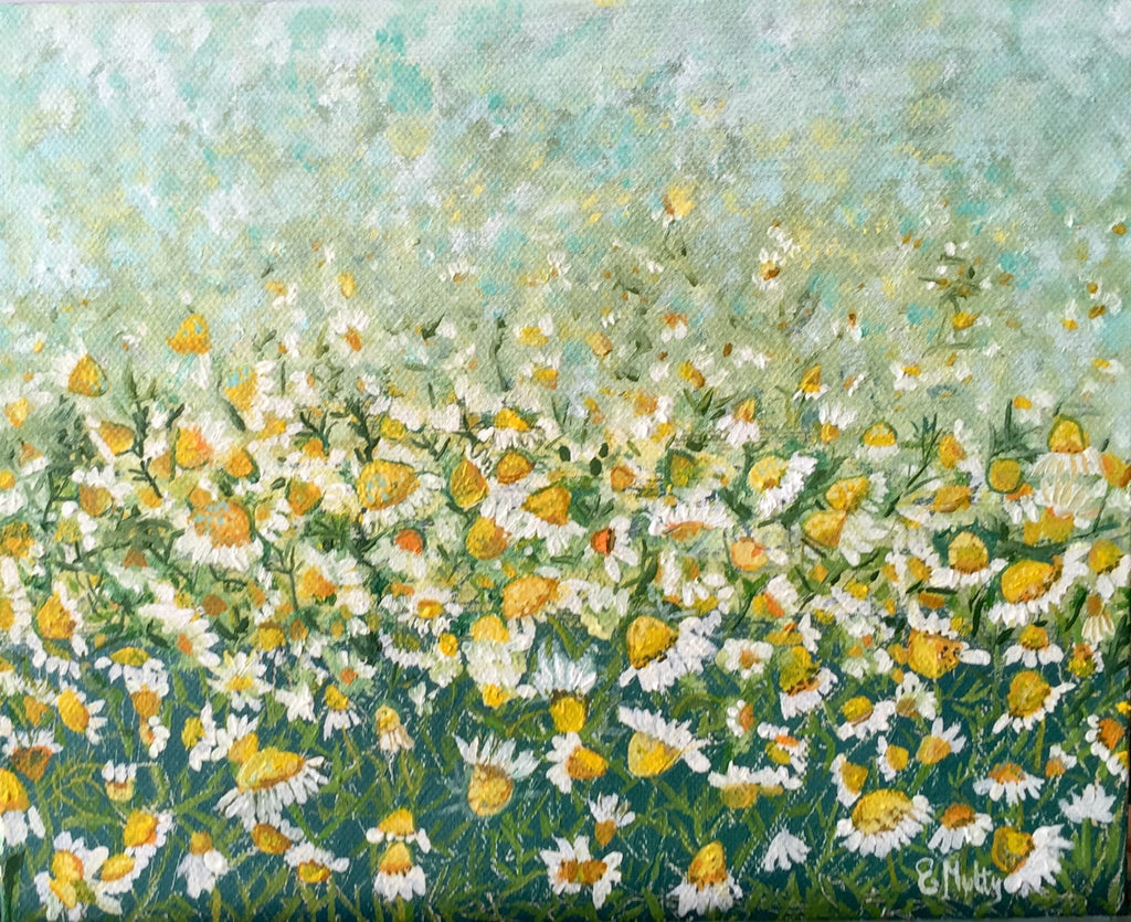 Camomile Field Study
