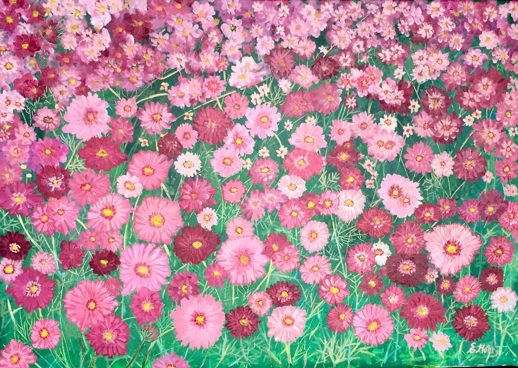 Pink Cosmos
