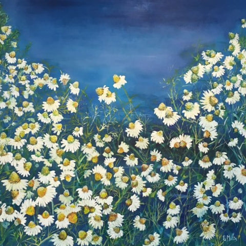 Camomile in Blue