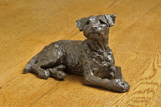 Freddie - Border Terrier