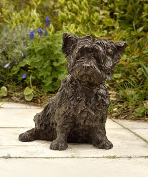 Brahms (Cairn Terrier)