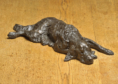 Grace Snoozing (Irish Setter)