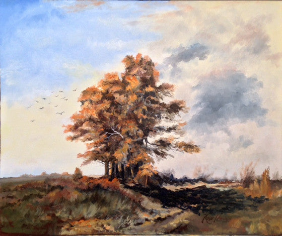 Early Autumn Sunset, North Essex Hills