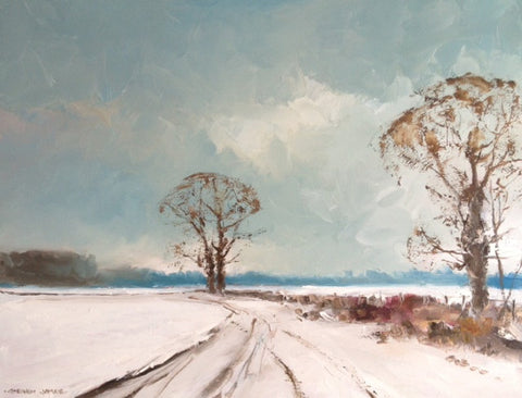 Snowy Track Towards Debden