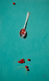 Redcurrant Teaspoon