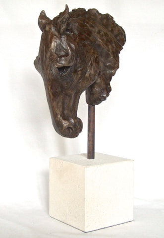 Andalusian Horse, Bronze Resin