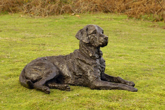 Saxon (Labrador)